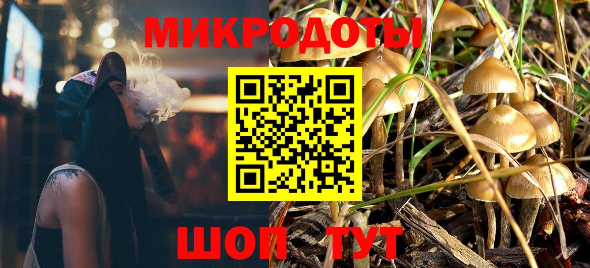 что такое   Псилоцибиновые грибы Psilocybe  Вход с VPN  Нижнеудинск 